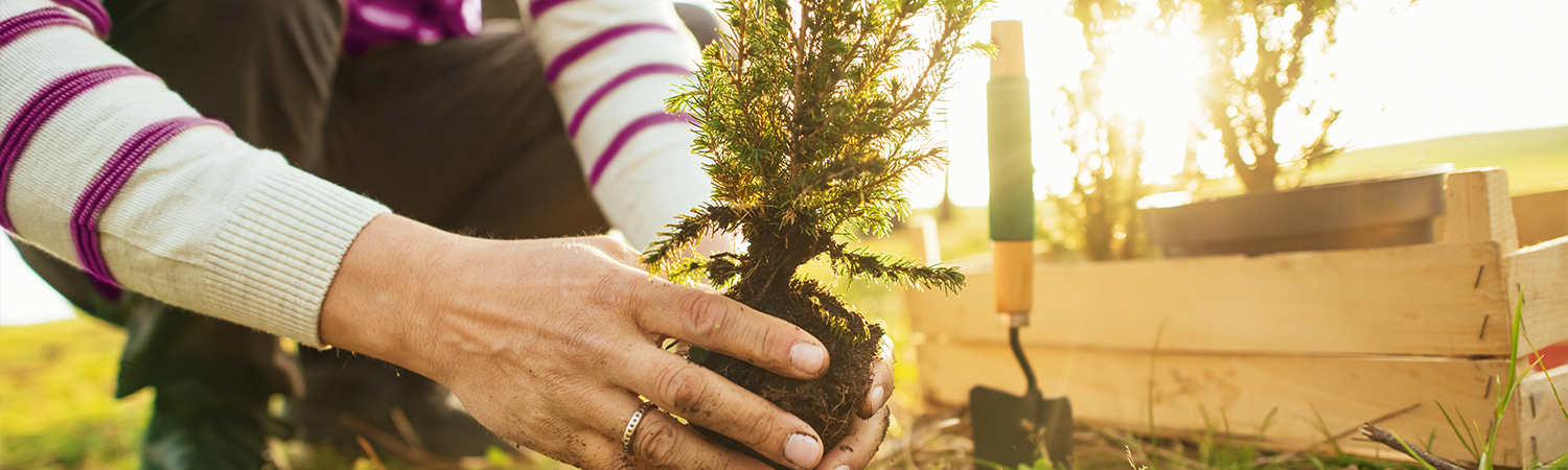 planting for the next generation